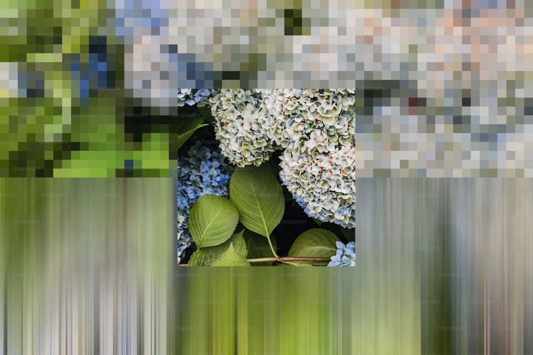 宋佳佟丽娅电影《轻于鸿毛》七夕定量点映 带上姐妹一同高兴动身
